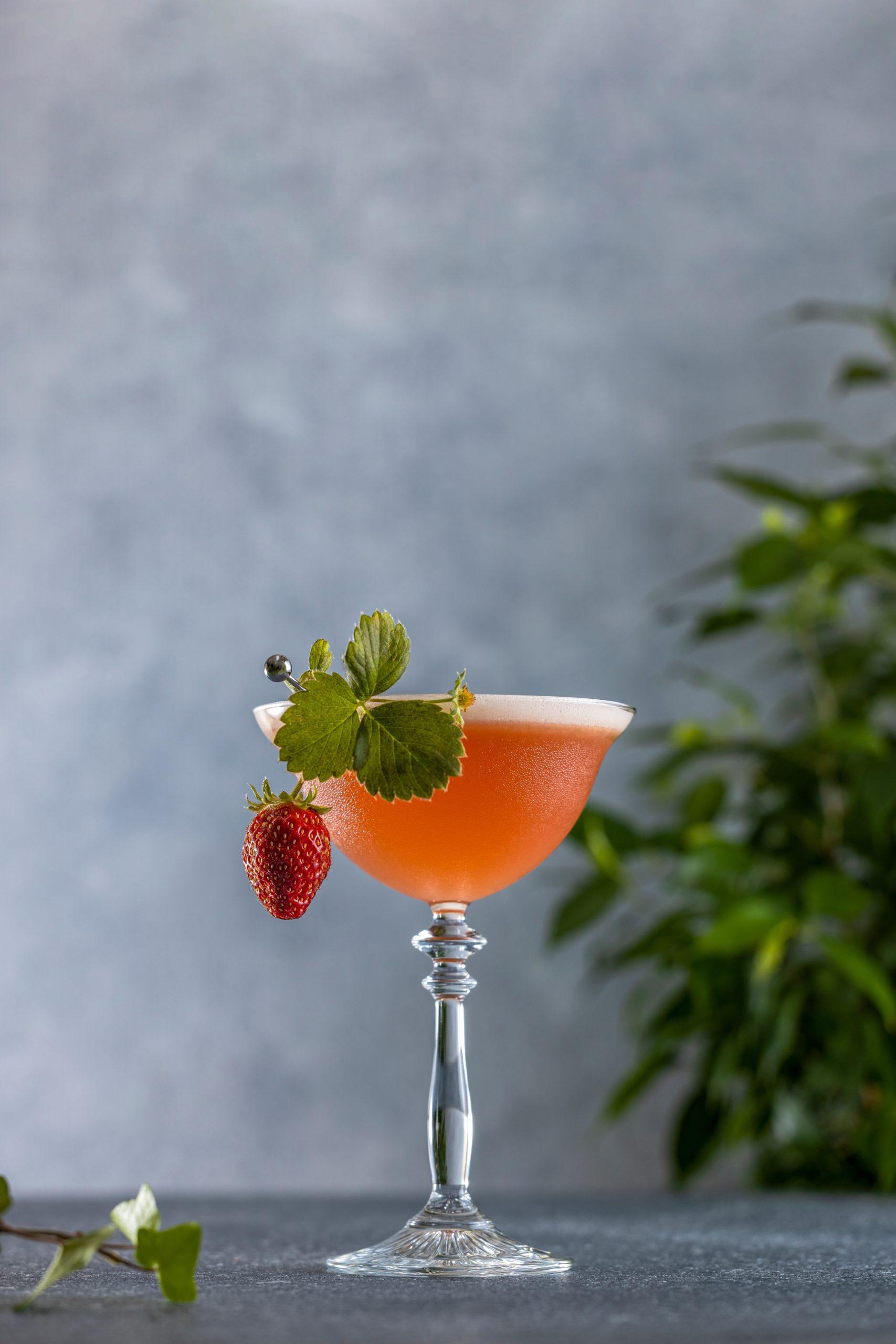 Fields Forever - Cocktail